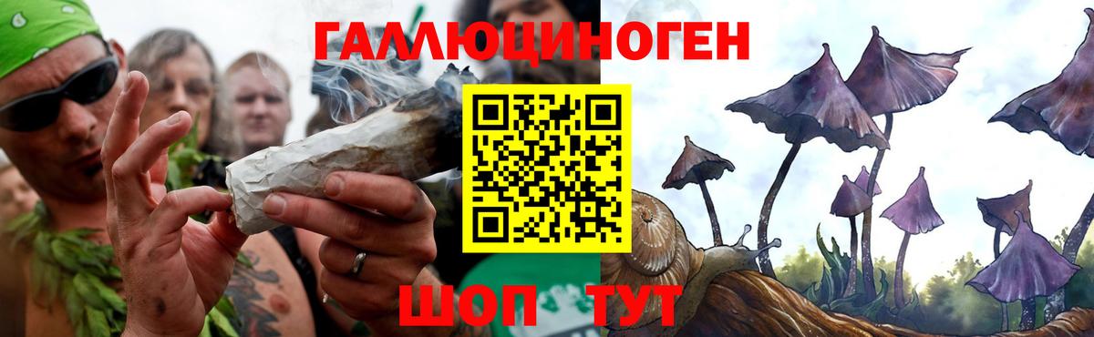 где найти наркотики  Галлюциногенные грибы Cubensis  Вход с VPN  Керчь 